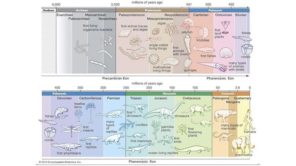 earth s life history poster