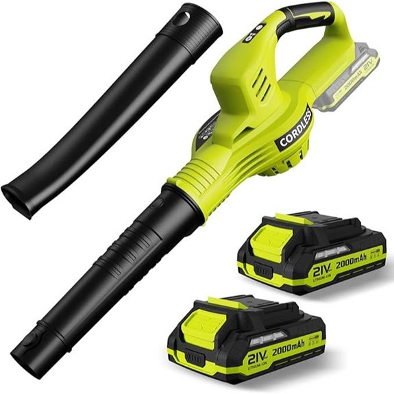Cordless Leaf Blower 21V with Batteries & Charger