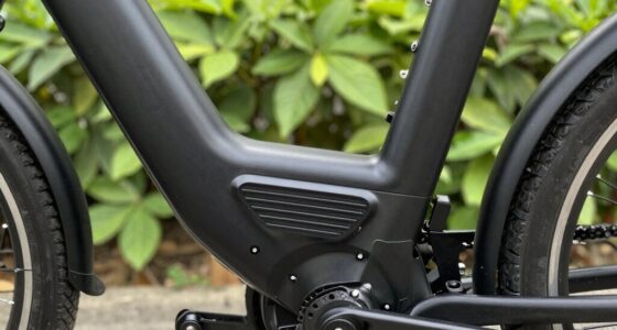 choosing the right e bike motor