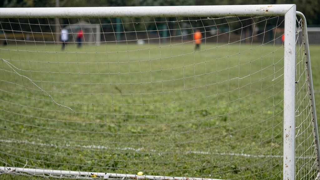 proper goal size setup