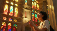 The Mathematical Secrets Of Barcelona's Sagrada Familia