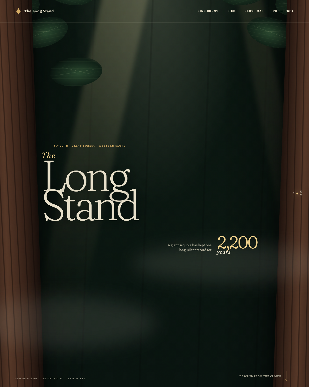 Live view of The Long Stand — 2,200 Years in a Giant Sequoia
