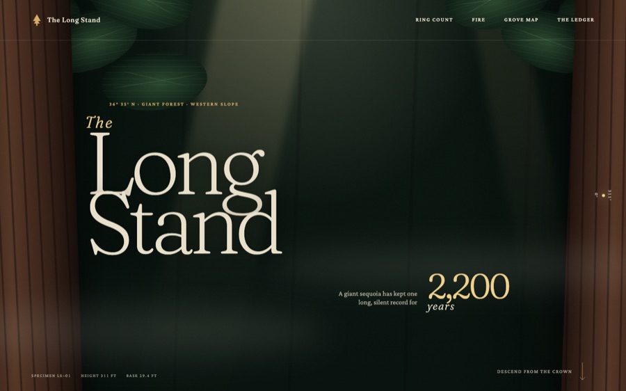 The Long Stand — 2,200 Years in a Giant Sequoia — Scroll-Based Visualization (FABLE/175, room 96)